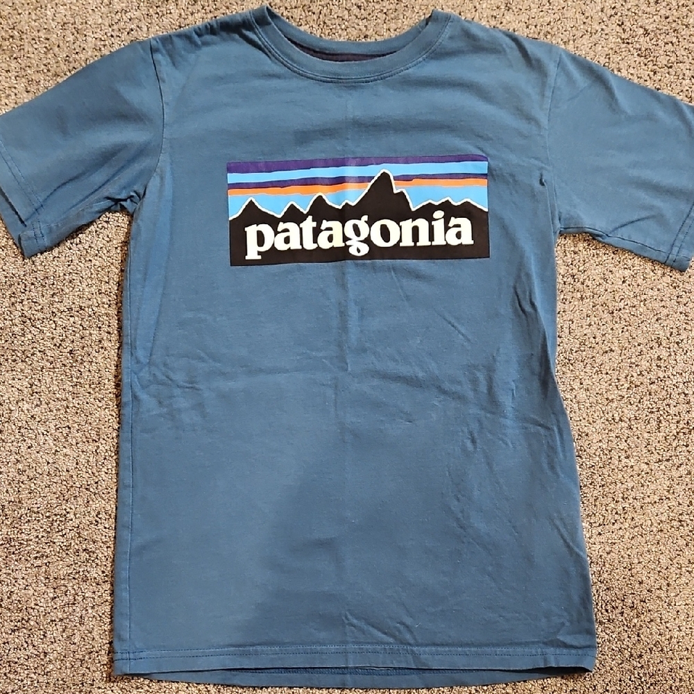 Patagonia Kids Blue Mountain Graphic Tee
